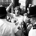 Ninth image from the photoset 'fair votes'.