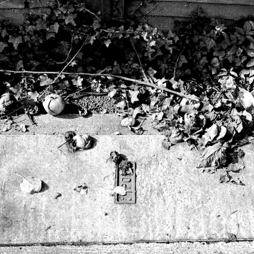 Image: Image 'untitled (iv) 3'.