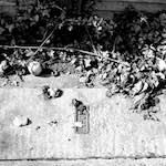 Third image from the photoset 'untitled (iv)'.