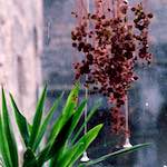 Sixth image from the photoset 'travel'.