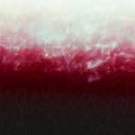 First image from the photoset 'fire (xv)'.