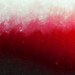 Third image from the photoset 'fire (xv)'.