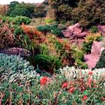 Second image from the photoset 'sculpture (ii)'.