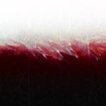 First image from the photoset 'fire (xvi)'.