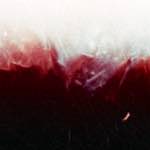 Third image from the photoset 'fire (xvi)'.