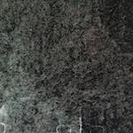 Fourth image from the photoset 'edinburgh (xiv)'.