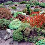 Third image from the photoset 'edinburgh (xvi)'.