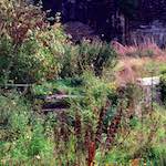 Seventh image from the photoset 'edinburgh (xvi)'.