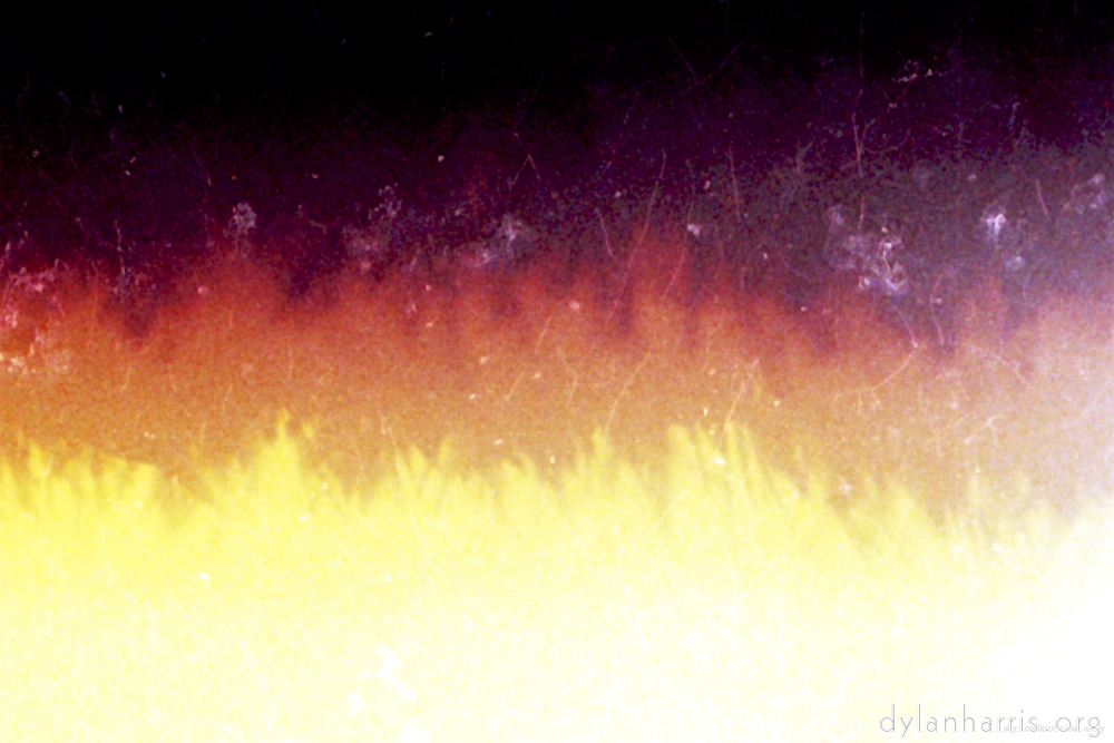 Image 'abstract (xvii) 4'.