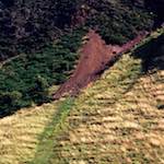 Third image from the photoset 'edinburgh (xix)'.