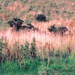 Sixth image from the photoset 'edinburgh (xix)'.