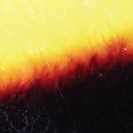 fire (xxiv) photoset