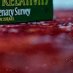 Second image from the photoset 'norwich (iii)'.