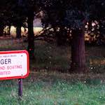 Third image from the photoset 'norwich (iii)'.