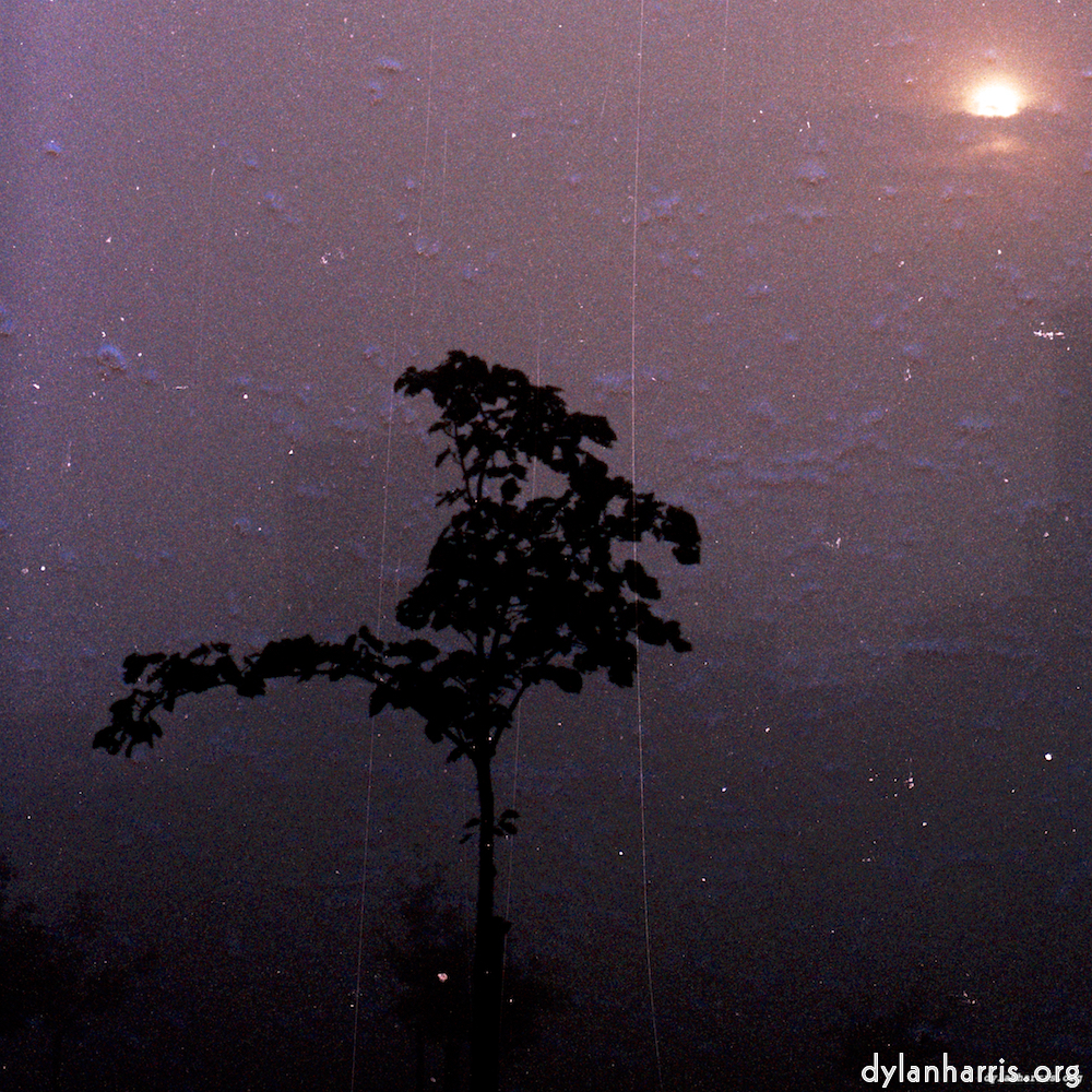 Image 'norwich (v) 5'.