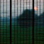 Third image from the photoset 'norwich (v)'.