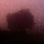 Fourth image from the photoset 'norwich (v)'.