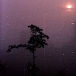 Fifth image from the photoset 'norwich (v)'.