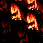 Second image from the photoset 'apparently'.