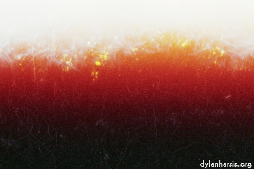 Image 'fire (xii) 1'.