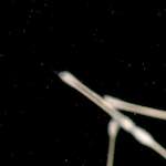 Third image from the photoset 'abstract (viii)'.