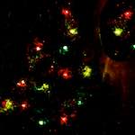 Fourth image from the photoset 'abstract (viii)'.