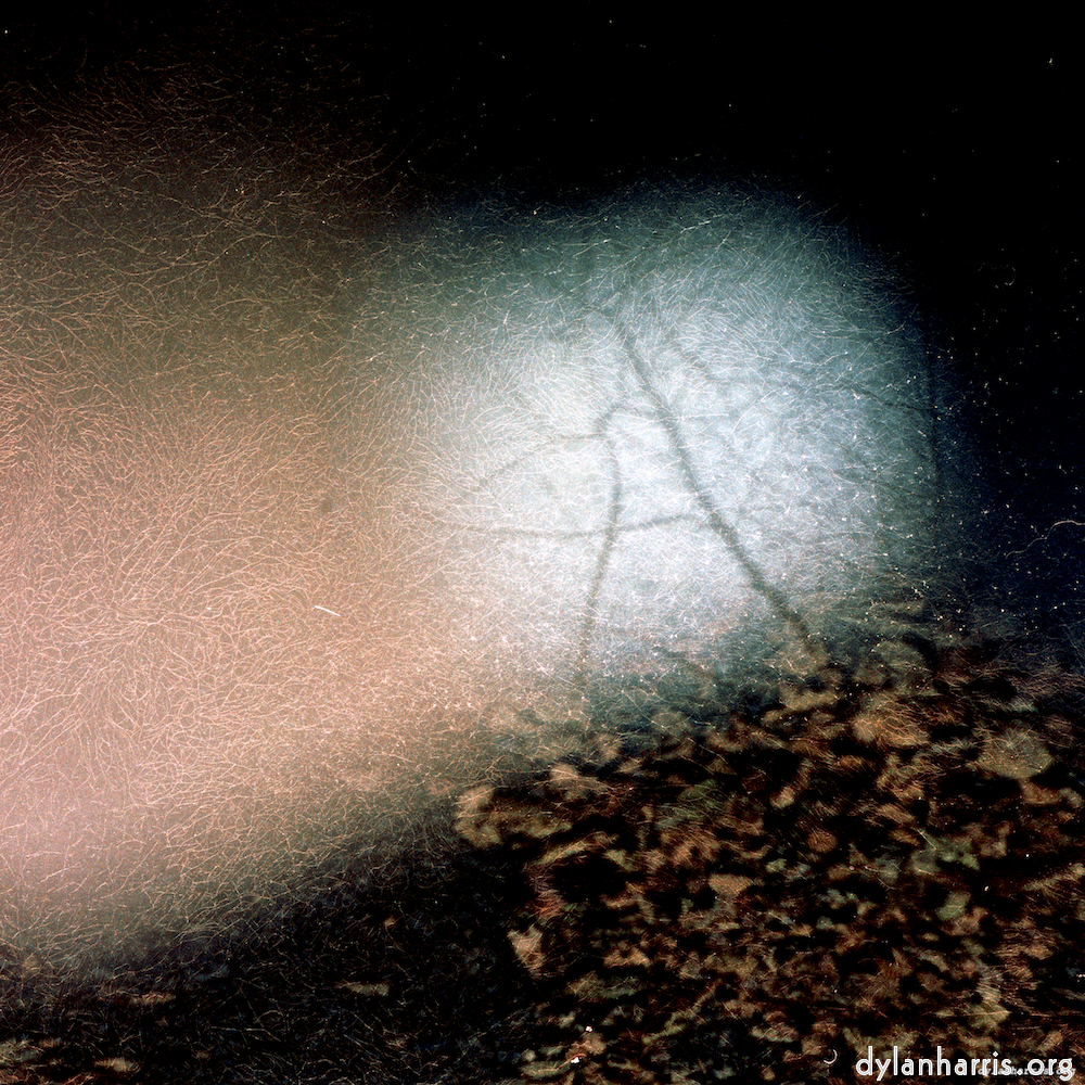 image: This is &lsquo;auto (v) 2&rsquo;.