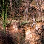 image: Image from the photoset &lsquo;auto (v)&rsquo;.