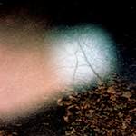 image: Image from the photoset &lsquo;auto (v)&rsquo;.