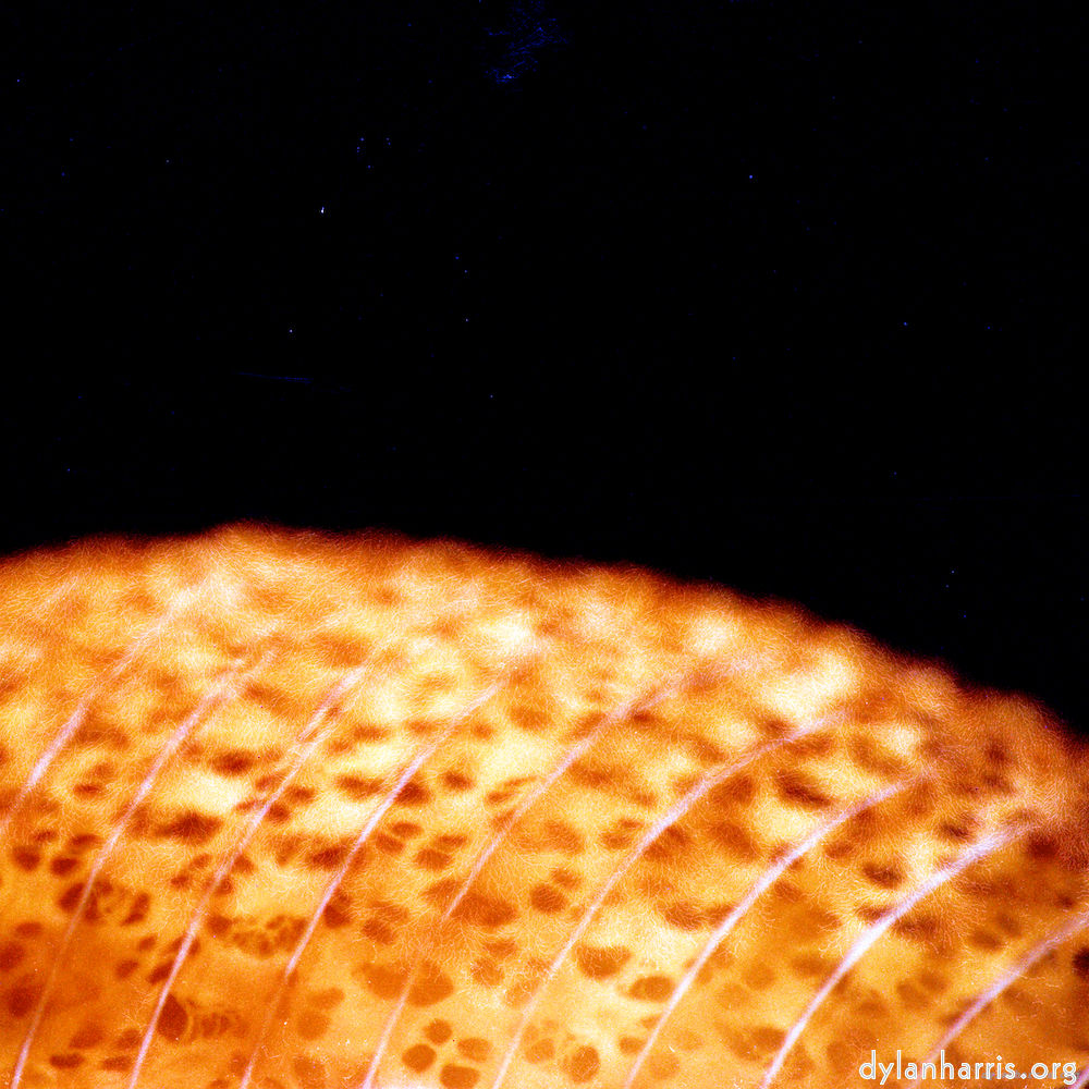 image: This is &lsquo;abstract (x) 4&rsquo;.