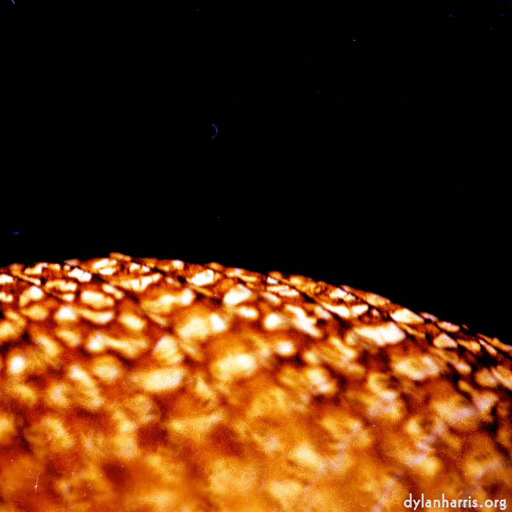 image: This is &lsquo;abstract (x) 5&rsquo;.