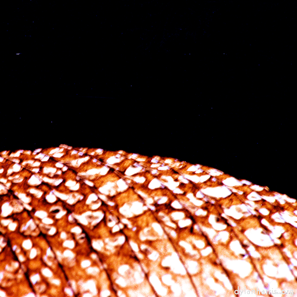 image: This is &lsquo;abstract (x) 6&rsquo;.