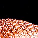 image: Image from the photoset &lsquo;abstract (x)&rsquo;.