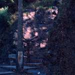 Seventh image from the photoset 'edinburgh (vii)'.