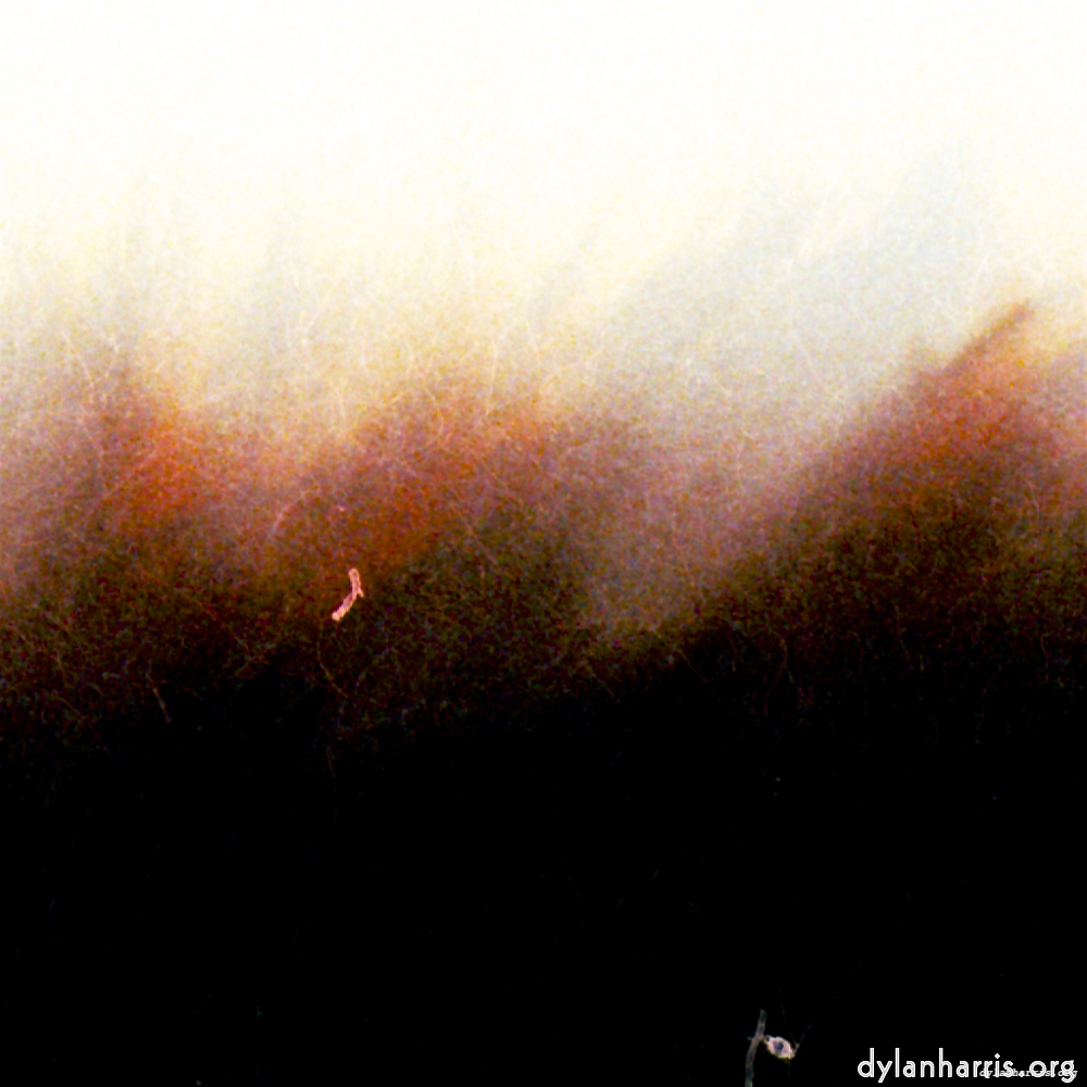 Image: Image 'fire (xxi) 3'.