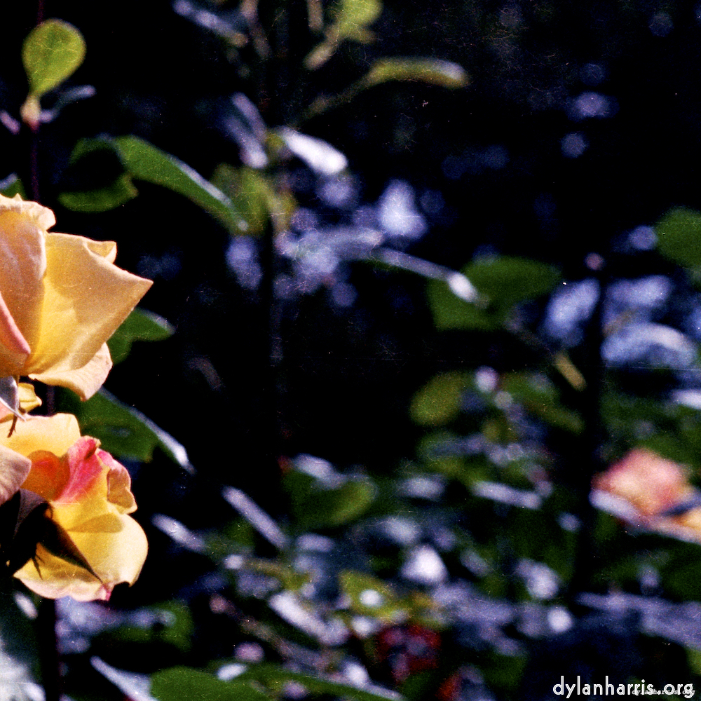 Image 'edinburgh (x) 1'.