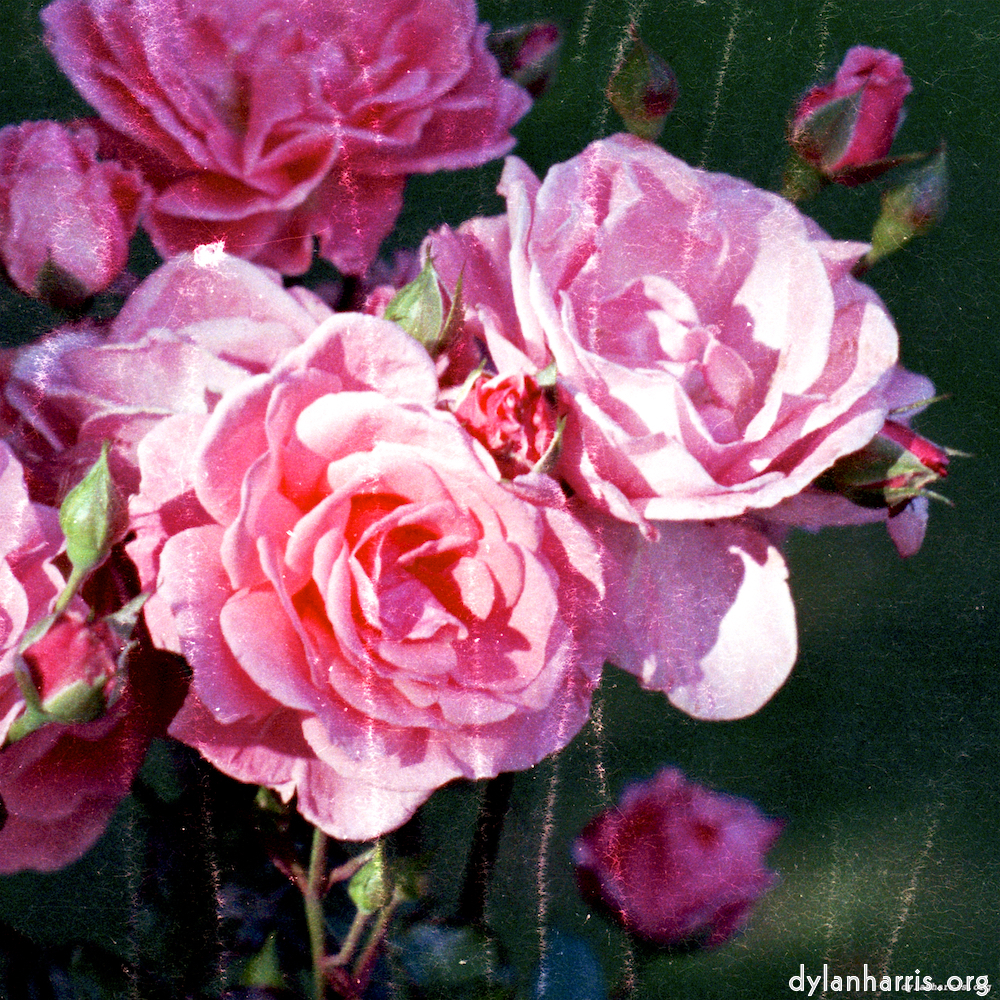 image: This is &lsquo;edinburgh (x) 2&rsquo;.