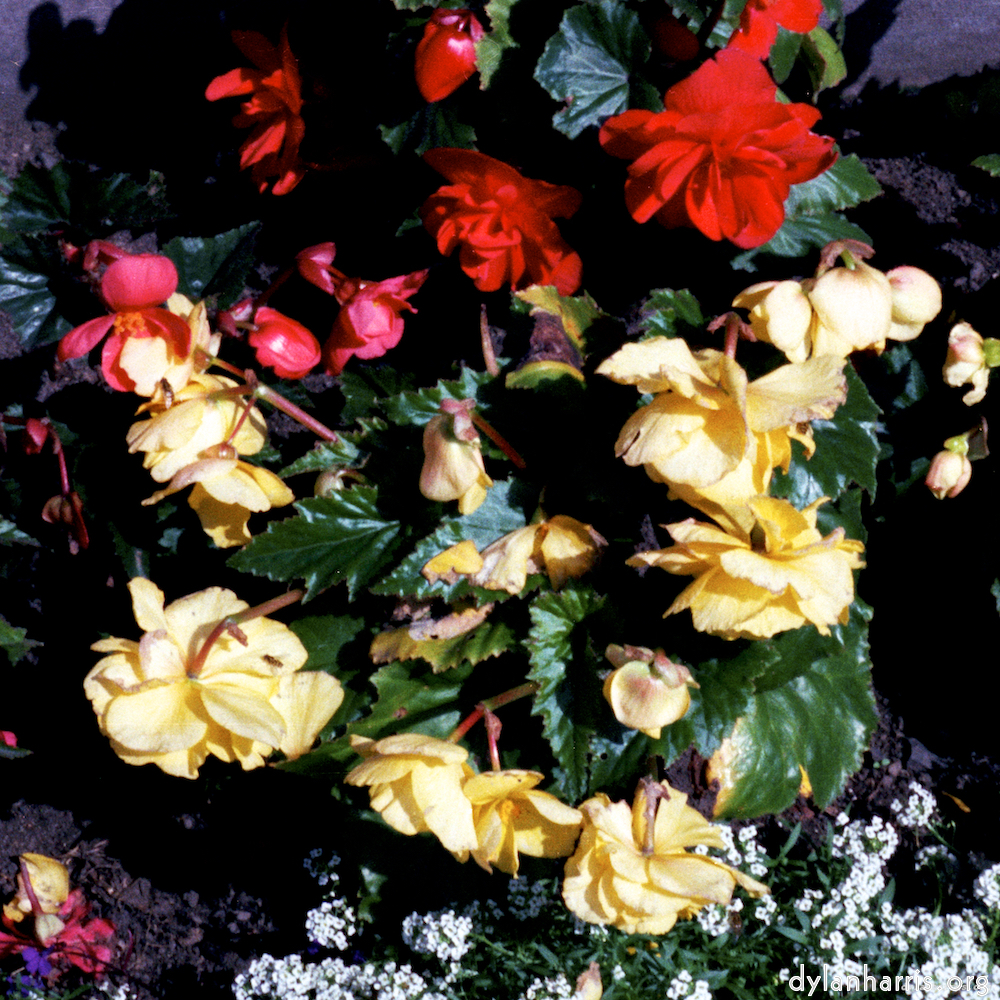 Image 'edinburgh (x) 4'.