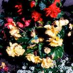 Fourth image from the photoset 'edinburgh (x)'.