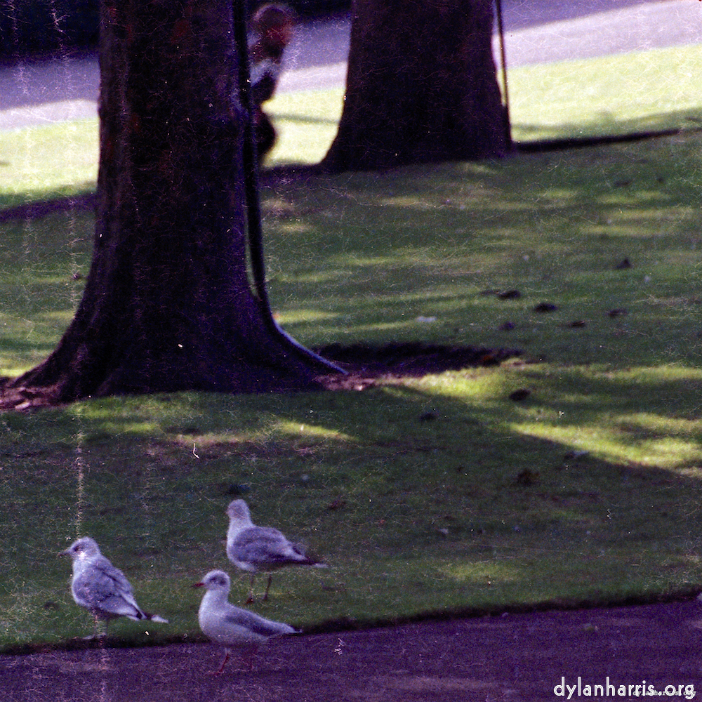 Image: Image 'edinburgh (xi) 8'.