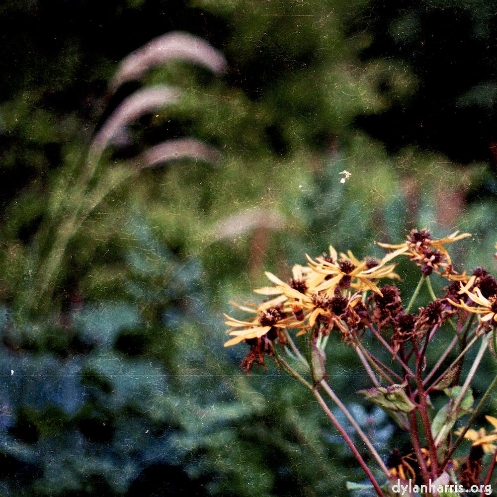 image: This is &lsquo;untitled (xxx) 2&rsquo;.