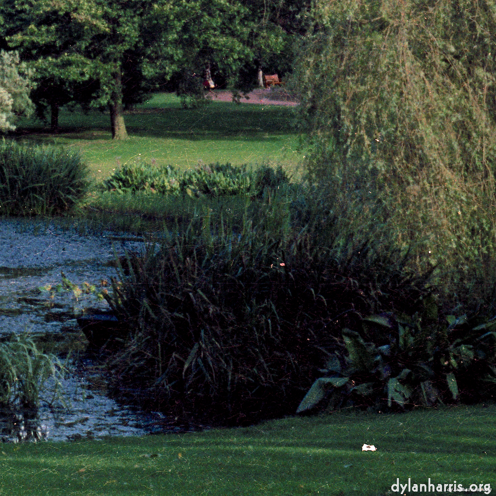 Image: Image 'untitled (xxx) 3'.