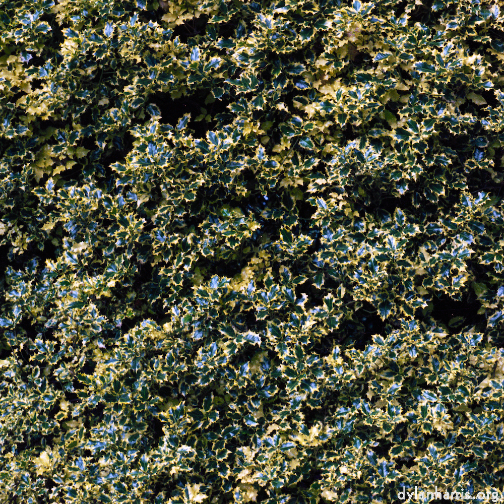 image: This is &lsquo;untitled (xxx) 4&rsquo;.