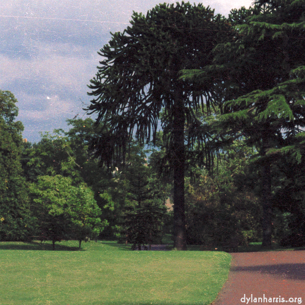 Image 'untitled (xxx) 5'.