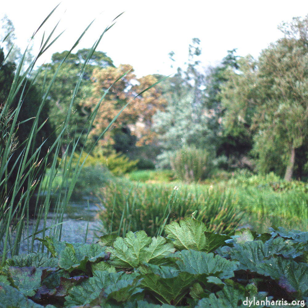 image: This is &lsquo;untitled (xxx) 7&rsquo;.