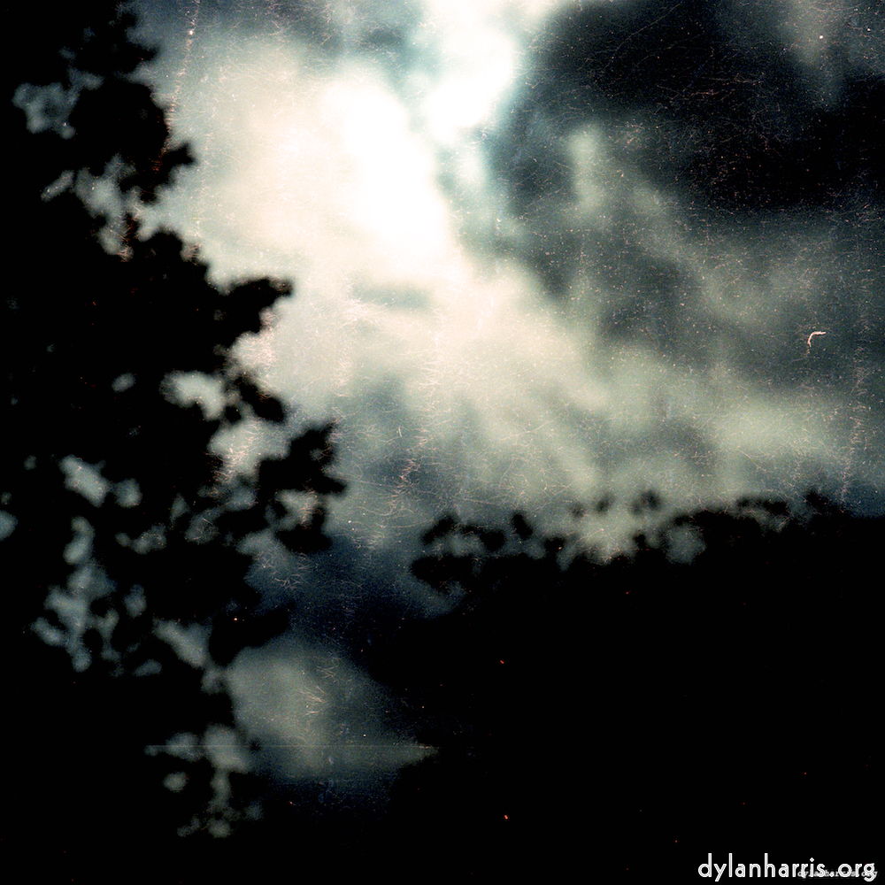 Image 'untitled (xxx) 8'.