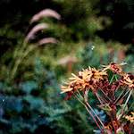 image: Image from the photoset &lsquo;untitled (xxx)&rsquo;.