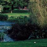 image: Image from the photoset &lsquo;untitled (xxx)&rsquo;.