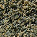 image: Image from the photoset &lsquo;untitled (xxx)&rsquo;.