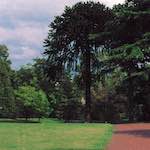 image: Image from the photoset &lsquo;untitled (xxx)&rsquo;.